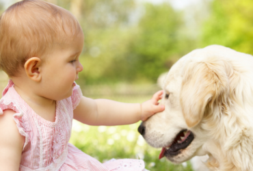 A New Home For Yannie: Baby Ella & My Guide Dog