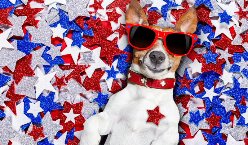 “13” Tips for Keeping Your Guide Dog Safe This July 4th