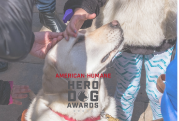 Guide Dog Frances & 2018 American Humane Hero Dog Award