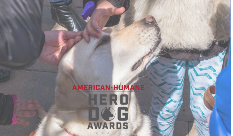Guide Dog Frances & 2018 American Humane Hero Dog Award