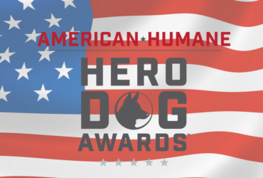 Guide Dog Frances One Of 21 Courageous Canines Competing in Hero Dog Awards