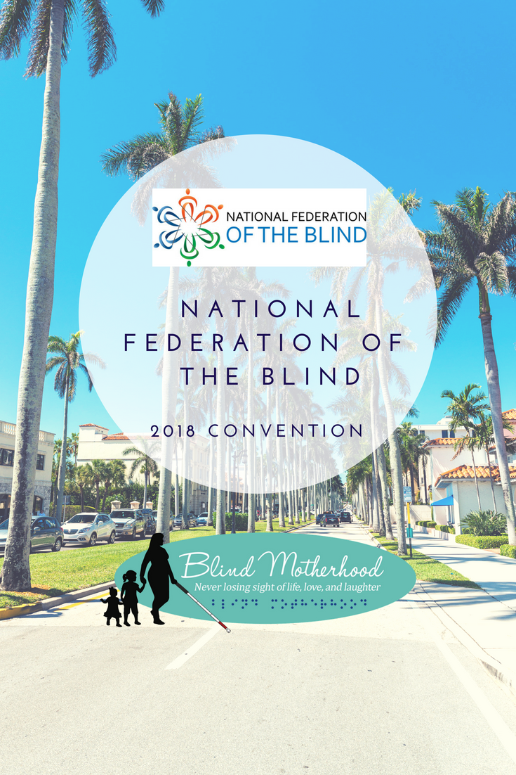 ID: A palm tree lined road in Orlando, Florida. White circle with NFB logo. Blind Motherhood logo below.