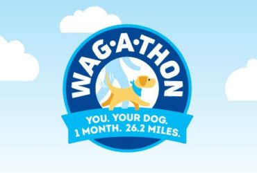Guiding Eyes For the Blind: Wag-A-Thon